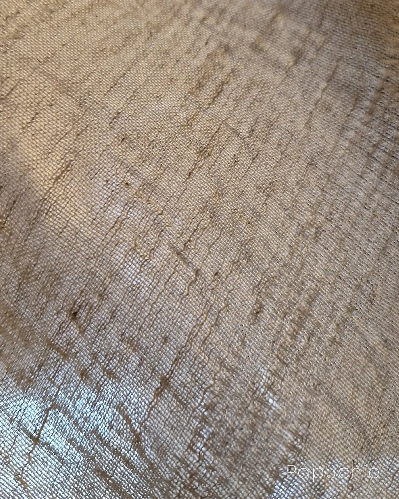 Anatolia Breeze Papuchie